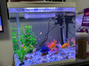 森森（SUNSUN） 鱼缸水族箱金鱼缸带灯鱼缸过滤器玻璃鱼缸桌面鱼缸 白色 高清玻璃HR-380+造景五（带18件） 实拍图