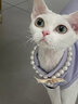 猫容德文卷毛猫衣服无毛宠物背心空调服高弹薄款猫猫咪春夏天睡衣服 活力橙 XS(1-2斤) 实拍图