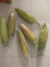 农达山 云南水果玉米 5斤装 甜脆玉米 新鲜蔬菜 产地直发 晒单实拍图