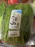 小汤山 茴香 250g 基地直供新鲜蔬菜安全可追溯 实拍图
