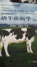 REBHUN’S奶牛疾病学（第2版） 实拍图