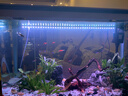 云峰海瑞 LED龙鱼缸灯水陆两用水中水草灯水族箱LED鱼缸灯具防水灯 24键遥控+手控变色75CM 实拍图