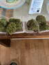 苔藓微景观植物苔藓植物鲜活青苔小草盆栽微景观植物diy材料 苔藓 实拍图