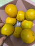 探味君 广西武鸣沃柑 新鲜水果应当季时令橘子桔子整箱 生鲜 净重8.5-9斤 单果70-75mm 实拍图
