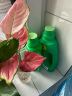 德沃多肥料天南星科专用植物营养液500ml园艺绿植盆栽花肥料生根有机叶面肥 实拍图