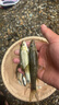 牧高笛（MOBIGARDEN）水瓶防潮垫 户外露营自动充气垫可拼接隔凉睡垫气垫床防潮垫 暖沙色/单人加厚6CM 实拍图