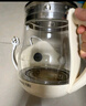 九阳（Joyoung）0胶水养生壶 1.5L煮茶器 玻璃花茶壶 316不锈钢烧水壶电热水壶 WY301 实拍图