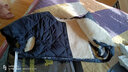 惜暖羊毛护肩中老年皮毛一体颈椎加厚保暖马甲男女秋冬季羽绒羊绒坎肩 无领蓝黑色(羊毛款) 3XL(建议160-180斤) 实拍图