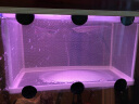共度（Gong Du）孵化盒 孔雀鱼繁殖盒 斗鱼亚克力隔离盒 孵化盒 水中隔离网(26*16*16cm) 实拍图