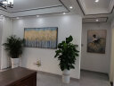 雷士（NVC）美式现代简约百搭客厅吊灯达拉斯餐厅吊灯卧室灯灯具灯饰全屋套餐 10头+风扇 三室两厅【带光源】 实拍图