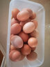 新信合 鸡蛋 新鲜农家土鸡蛋 五谷喂养现捡鲜鸡蛋现捡现发 40枚初生土鸡蛋家庭装 实拍图