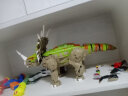 WOMA 仿真恐龙系列巨型刺盾角龙积木立体模型侏罗纪恐龙拼装兼容乐高男孩积木玩具2025小颗粒学生日玩具六一儿童节礼物送礼盒 实拍图