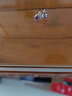 卓麦 绽梅耳钉女925银针韩国时尚气质梅花耳环饰品生日礼物送女友礼物 紫色 实拍图