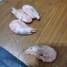 4斤北极甜虾刺身冰虾新鲜冷冻大虾超大带籽腹籽海鲜礼盒 11-13cm 2000g礼盒装 实拍图