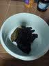 茶花 洗衣盆洗脸盆洗手盆厨房洗菜盆宝宝婴儿浴盆洗脚盆卫生间足浴盆 蓝色【39cm】 实拍图