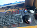 罗技（Logitech） k845机械键盘  游戏键盘 办公键盘鼠标套装 csgo键盘有线 游戏电竞键盘 电脑办公家用机械键盘 K845青轴-G102一代黑色 实拍图