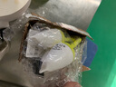 朝宇电子夜光鱼漂超亮矶钓浮漂大肚漂远投立漂海竿漂醒目鲢鳙钓组浮标 浮力40克（带电池） 咬钩变色 实拍图