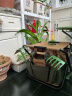 爱丽思（IRIS） 园艺小铲子套装不锈钢种植挖土家用赶海铁锹铲种菜养花园艺工具 折叠凳ALOT-40 晒单实拍图