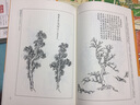芥子园画谱 白话文版无删减芥子园画传王概著巢勋临本国画临摹画册山石画谱工笔画技法写意画入门工具教程书 实拍图