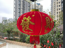 缔卡2025新年大红灯笼一对过年大门口宫灯阳台挂饰过新年户外装饰吊灯 升级款100#家和万事兴长钩-2个装 实拍图