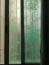 迪茵自粘玻璃贴膜磨砂窗户玻璃贴纸透光不透明窗花纸办公室空调房防晒 绿竹 60cm*2米 实拍图