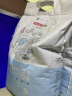 洁客（Drymax）膨润土豆腐砂混合猫砂懒人猫砂3.3kg 实拍图