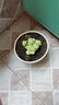 墨一【送货上门】多肉植物带盆组合套装多肉办公室绿植花卉三八节礼物 新玉缀 【塑料盆栽好】 实拍图