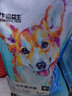 富益生（PF Probiotic Feed）低敏冻干全价狗粮成犬幼犬奶糕金毛泰迪贵宾狗狗主粮 全价幼犬粮10kg 实拍图