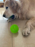 宜特（EETOYS）狗狗玩具耐咬刺球发声玩具弹力球洁齿互动训练球训犬玩具 中号发声刺球(绿色) 实拍图