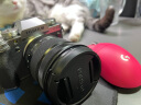 富士 XT5 XT4升级款 微单数码相机 Vlog防抖 6K视频直播摄影 复古相机 XT5银色+16-80mm(4.25日发货) 官方标配 晒单实拍图
