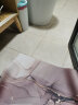 瑞丹软硅藻泥吸水地垫轻奢浴室卫生间厕所门口垫子速干脚垫门垫防滑垫 大理石玫瑰金 45*70CM 实拍图