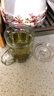 翼柏嘉 加厚耐热玻璃茶杯 办公室透明泡茶玻璃杯带盖高硼硅水杯子 纳尔弗热饮杯(355ML) 实拍图