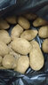 中鲜生 云南红皮黄心小土豆新鲜蔬菜火锅食材 大土豆9斤（比鹅蛋还大） 实拍图