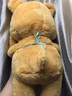 HKFZ泰国黄油小熊玩偶毛绒玩具butterbear围裙布娃娃玩偶生日礼物女友 黄油小熊 30cm【现货速货】 实拍图