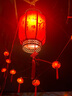 驭阳 太阳能灯笼春节新年红灯笼窗帘灯家用阳台布置装饰彩灯闪灯串灯 3W大板+USB充电-高亮遥控单个款 节日红灯笼灯 实拍图