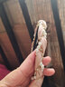 松窗梦语 发箍女网红头饰发卡发箍发卡珍珠镶钻波浪形布艺头箍韩范儿十足 米色 实拍图