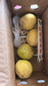 黄金钦蜜九号百香果 甜口 皱皮更甜不影响食用发货带青色 200g小果单果30-45g 黄金钦蜜九号百香果 实拍图