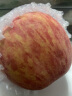 洛川苹果（luochuanapple）陕西延安红富士时令水果苹果新鲜糖心产地直发脆甜多汁可以带皮吃 12枚70mm 迷你果 白领装 彩箱 晒单实拍图