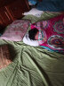 翼眠 枕头深度 睡眠tpe格子无压颈椎枕头枕芯  7-15岁学生专用枕 晒单实拍图