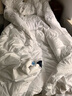 安睡宝（SOMERELLE） 羽绒被 95%大朵白鹅绒 春秋被芯冬抗菌被子 95春秋被特大双人【220*240cm】 实拍图