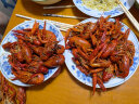 今锦上 十三香小龙虾 1.5kg 4-6钱 净虾750g 中号25-33只 餐饮同款 海鲜火锅方便菜 实拍图
