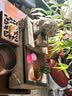 荷府家居 家居生财吸水兽造景石槽办公室室内流水摆件雾化加湿循环水水系景观 青云佳瑞（不带雾化）带木架 实拍图