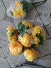初衷清明节仿真花花束上坟的塑料菊花墓地清明扫墓假花祭祀用品墓前花 12头白+黄双色1束 1束 实拍图