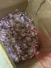 鹿凌青2024年新蒜紫白皮大蒜鲜干蒜头农家香蒜土蒜新鲜干红皮大蒜头产地 带箱【人工挑选】净重9斤 10斤 实拍图