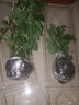寿禾 香草苗大全薄荷苗盆栽带土可食用秧苗冬春季四季观赏绿植薄荷叶 百里香苗5棵 实拍图