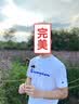 Champion夏季经典款印花草写LOGO圆领休闲运动T恤无性别冠军短袖男女情侣 白色(偏薄） L 实拍图