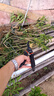 雨瀚园林剪树枝剪刀果树修枝剪园林粗枝剪树枝用的剪刀花艺修枝剪摘果 【德国工艺】擎天柱护套+刀片 实拍图