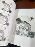中国画国画入门技法教程技有所承画荷花八所美术学院老师联合推荐从入门到提高的国画教程图解视频讲座临摹创作赏析荷花绘画基础入门 实拍图