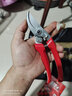 爱丽斯ars130DX日本进口修枝剪刀树剪果树剪花艺剪园艺剪刀修剪树枝剪刀 130DX-R【英文包装红色】 实拍图