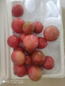 枫小七辽宁丹东铁皮柿子水果草莓柿子西红柿新鲜生吃应季番茄瓜果蔬菜 3斤 实惠装 晒单实拍图